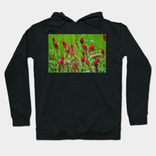 Raspberry Colored Flowers Hoodie